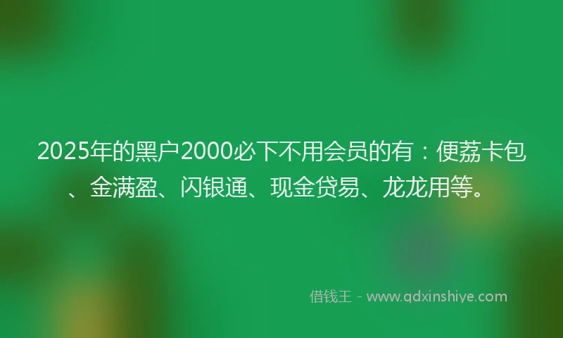2025年的黑户2000必下不用会员的有：便荔卡包、金满盈、闪银通、现金贷易、龙龙用等。
