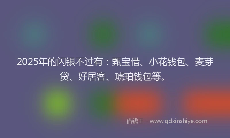 2025年的闪银不过有：甄宝借、小花钱包、麦芽贷、好居客、琥珀钱包等。