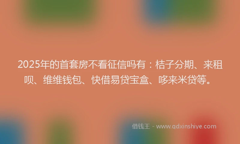 2025年的首套房不看征信吗有：桔子分期、来租呗、维维钱包、快借易贷宝盒、哆来米贷等。