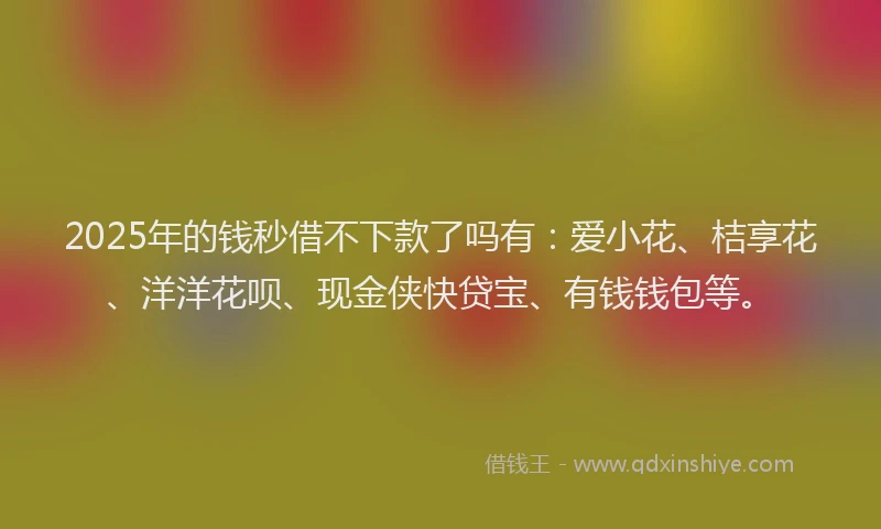 2025年的钱秒借不下款了吗有：爱小花、桔享花、洋洋花呗、现金侠快贷宝、有钱钱包等。