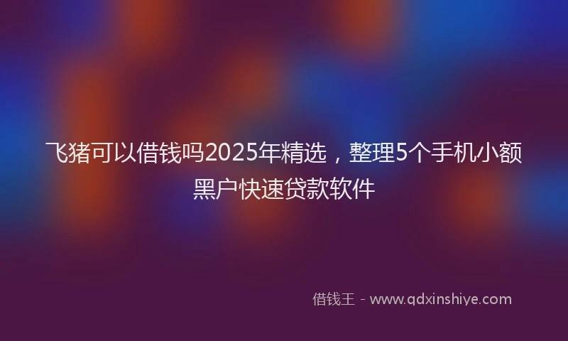 飞猪可以借钱吗2025年精选，整理5个手机小额黑户快速贷款软件