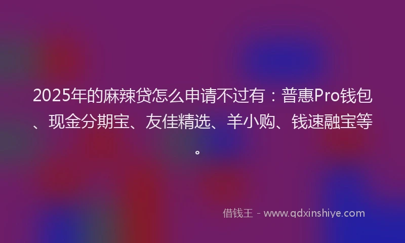 2025年的麻辣贷怎么申请不过有：普惠Pro钱包、现金分期宝、友佳精选、羊小购、钱速融宝等。