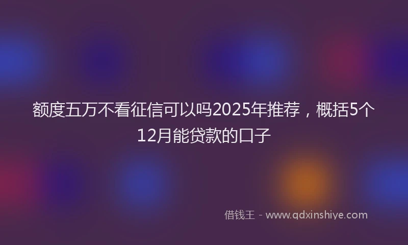 额度五万不看征信可以吗2025年推荐，概括5个12月能贷款的口子