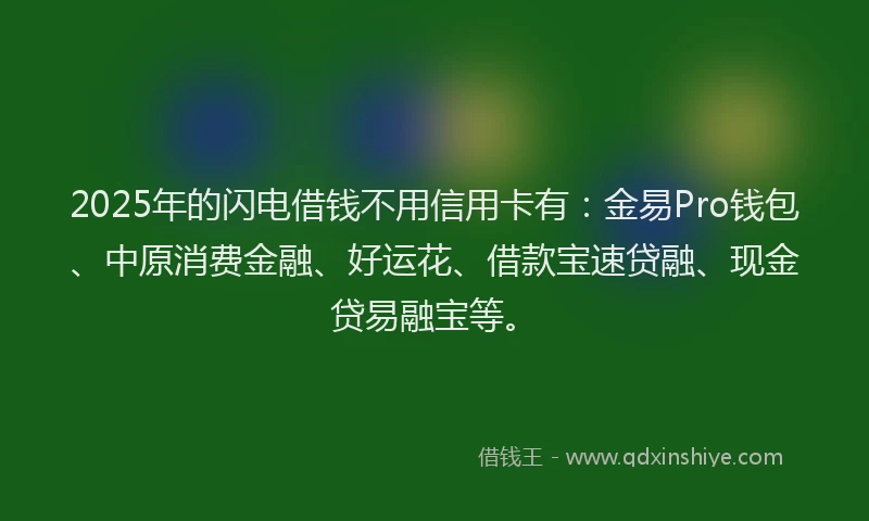 2025年的闪电借钱不用信用卡有：金易Pro钱包、中原消费金融、好运花、借款宝速贷融、现金贷易融宝等。