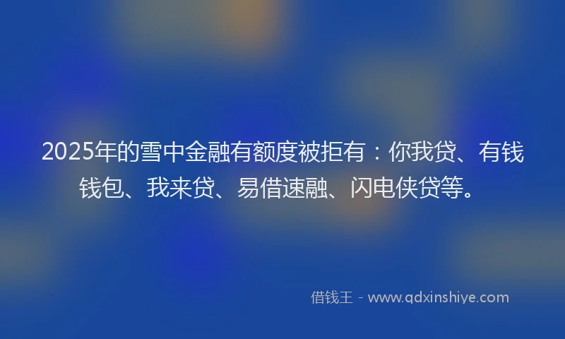 2025年的雪中金融有额度被拒有：你我贷、有钱钱包、我来贷、易借速融、闪电侠贷等。