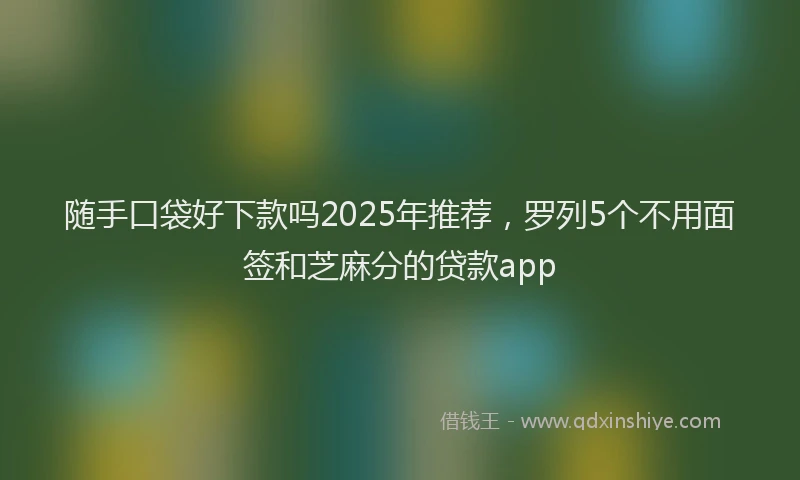 随手口袋好下款吗2025年推荐，罗列5个不用面签和芝麻分的贷款app