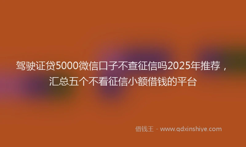 驾驶证贷5000微信口子不查征信吗2025年推荐，汇总五个不看征信小额借钱的平台
