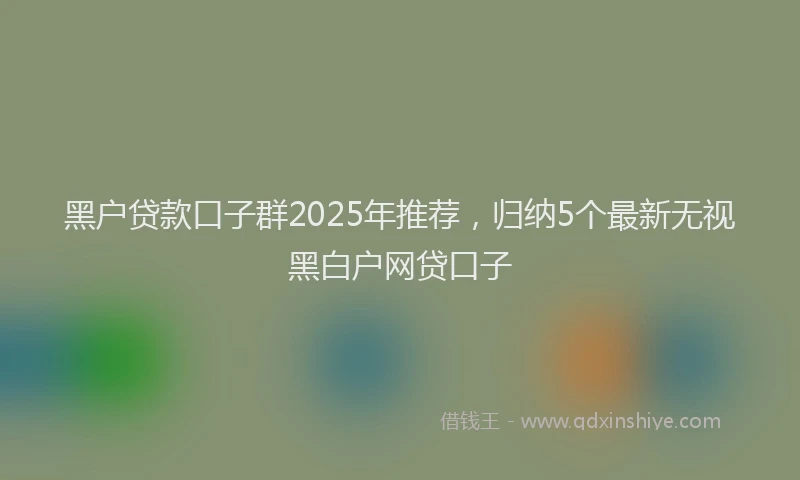 黑户贷款口子群2025年推荐，归纳5个最新无视黑白户网贷口子