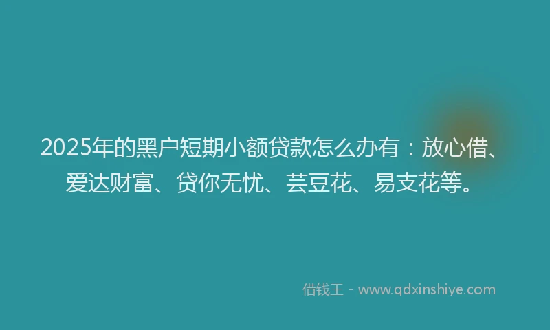 2025年的黑户短期小额贷款怎么办有：放心借、爱达财富、贷你无忧、芸豆花、易支花等。