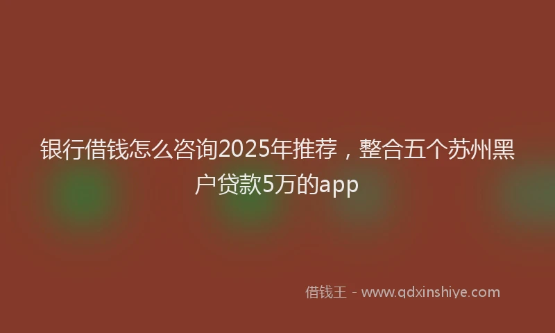 银行借钱怎么咨询2025年推荐，整合五个苏州黑户贷款5万的app