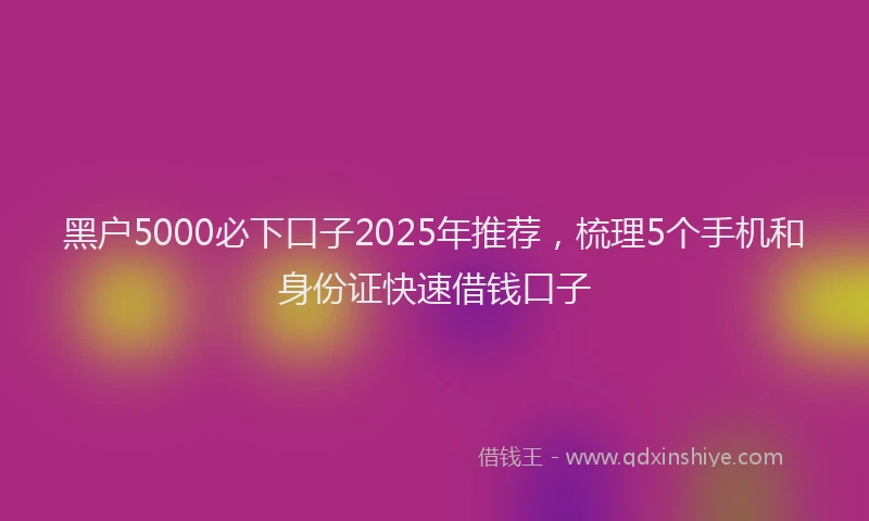 黑户5000必下口子2025年推荐，梳理5个手机和身份证快速借钱口子