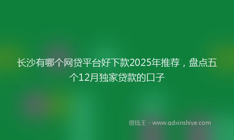 长沙有哪个网贷平台好下款2025年推荐，盘点五个12月独家贷款的口子