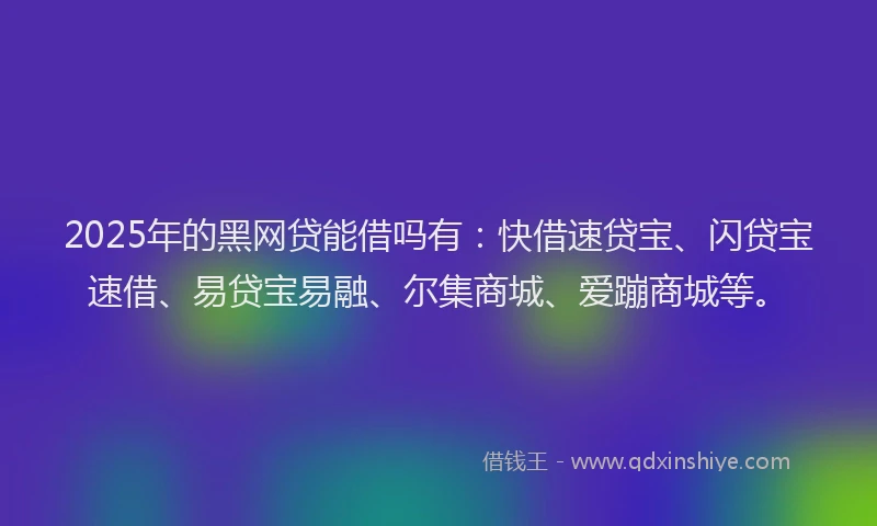 2025年的黑网贷能借吗有：快借速贷宝、闪贷宝速借、易贷宝易融、尔集商城、爱蹦商城等。