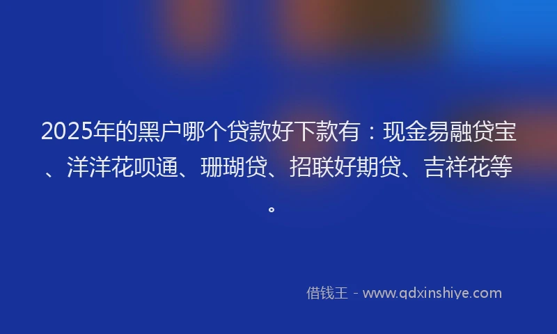 2025年的黑户哪个贷款好下款有：现金易融贷宝、洋洋花呗通、珊瑚贷、招联好期贷、吉祥花等。