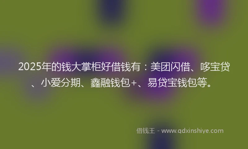 2025年的钱大掌柜好借钱有：美团闪借、哆宝贷、小爱分期、鑫融钱包+、易贷宝钱包等。