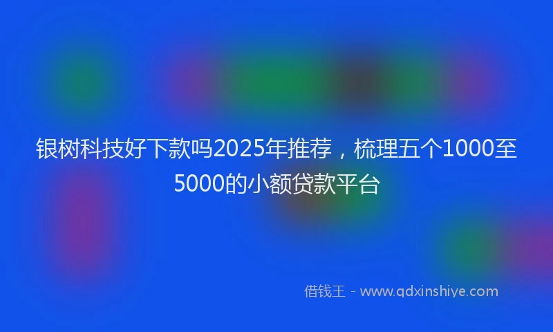 银树科技好下款吗2025年推荐，梳理五个1000至5000的小额贷款平台