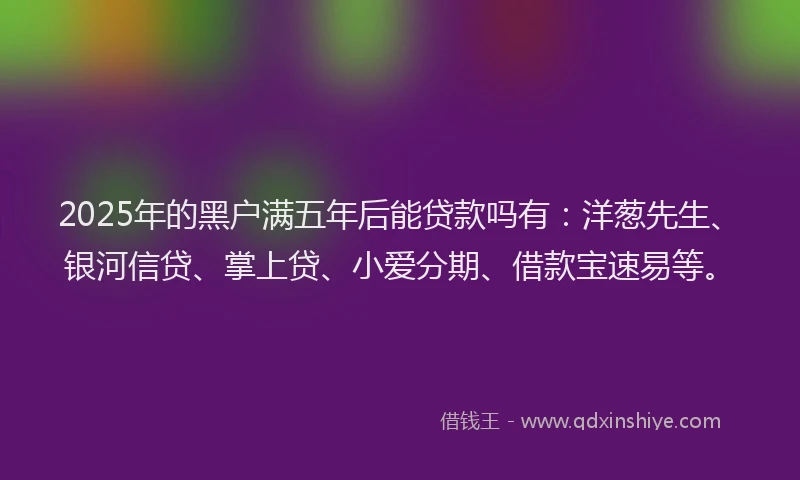 2025年的黑户满五年后能贷款吗有：洋葱先生、银河信贷、掌上贷、小爱分期、借款宝速易等。