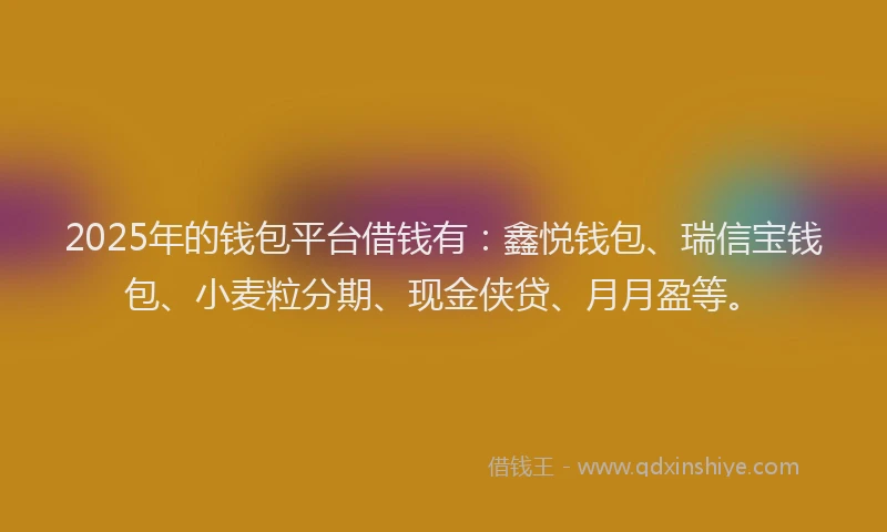 2025年的钱包平台借钱有：鑫悦钱包、瑞信宝钱包、小麦粒分期、现金侠贷、月月盈等。
