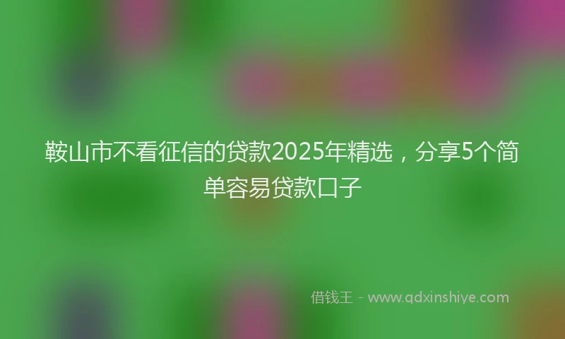 鞍山市不看征信的贷款2025年精选，分享5个简单容易贷款口子