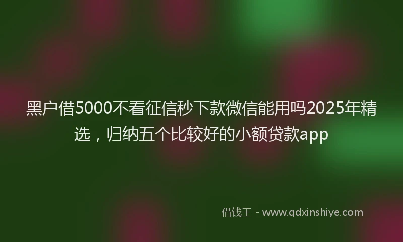 黑户借5000不看征信秒下款微信能用吗2025年精选，归纳五个比较好的小额贷款app