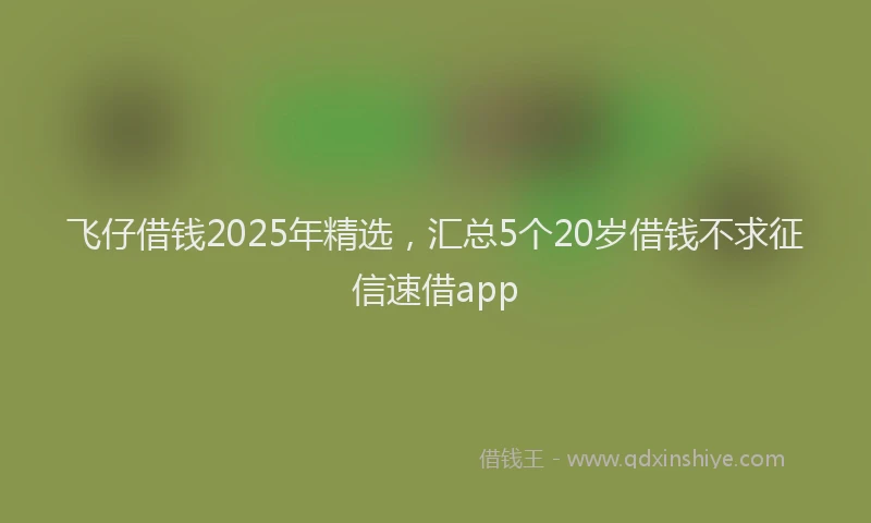 飞仔借钱2025年精选，汇总5个20岁借钱不求征信速借app