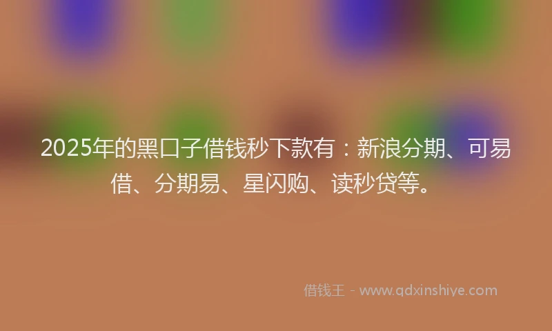 2025年的黑口子借钱秒下款有：新浪分期、可易借、分期易、星闪购、读秒贷等。