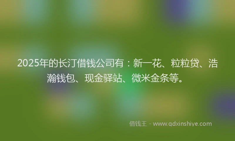 2025年的长汀借钱公司有：新一花、粒粒贷、浩瀚钱包、现金驿站、微米金条等。