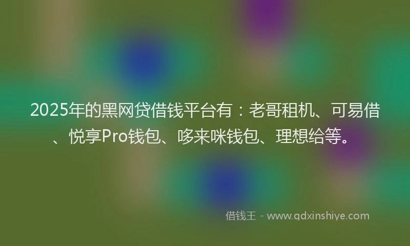 2025年的黑网贷借钱平台有：老哥租机、可易借、悦享Pro钱包、哆来咪钱包、理想给等。