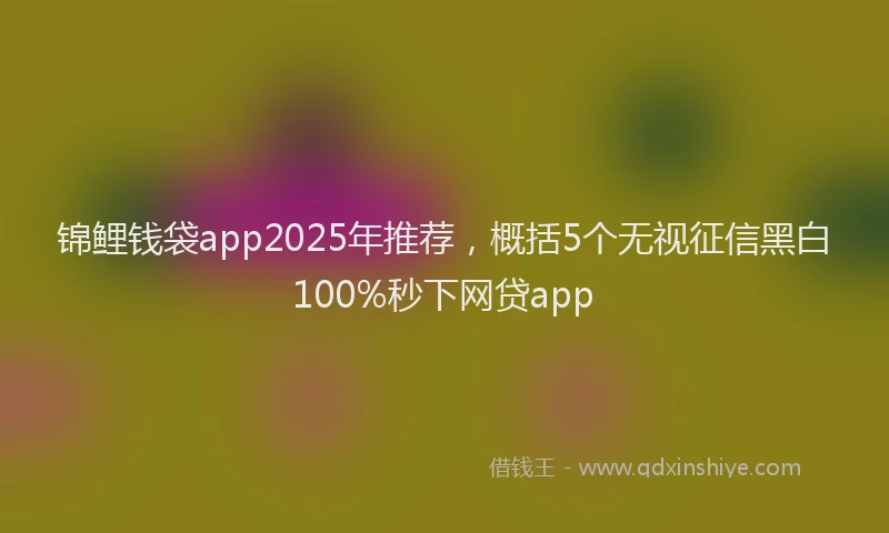 锦鲤钱袋app2025年推荐，概括5个无视征信黑白100%秒下网贷app