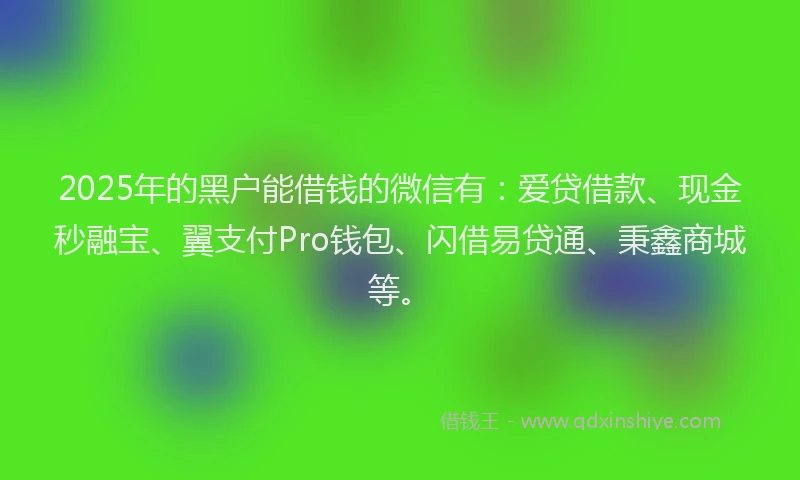 2025年的黑户能借钱的微信有：爱贷借款、现金秒融宝、翼支付Pro钱包、闪借易贷通、秉鑫商城等。