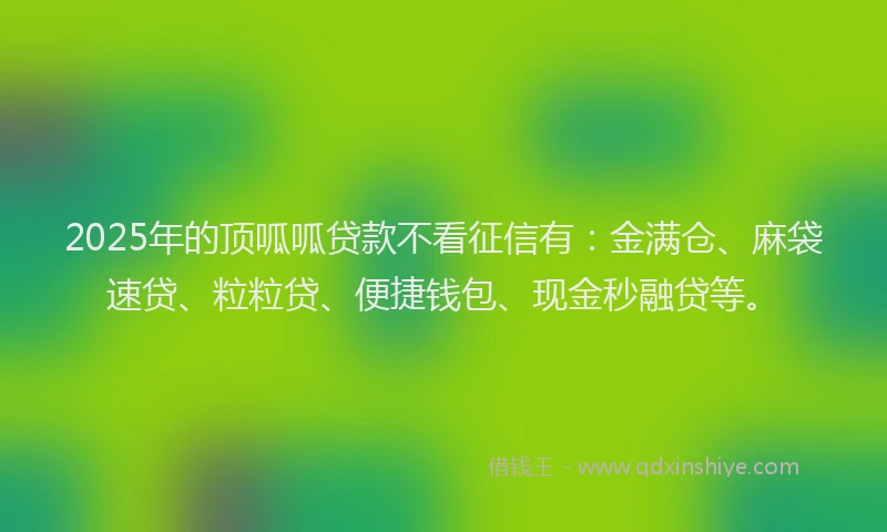 2025年的顶呱呱贷款不看征信有：金满仓、麻袋速贷、粒粒贷、便捷钱包、现金秒融贷等。