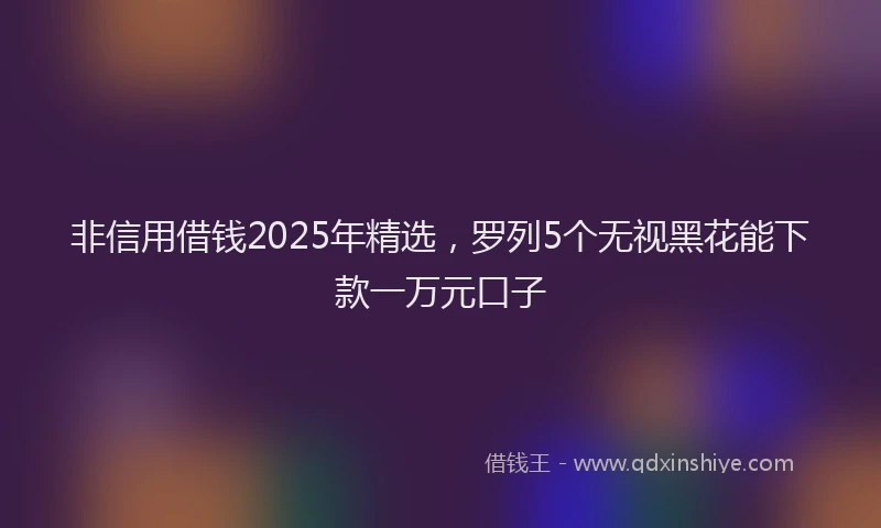 非信用借钱2025年精选，罗列5个无视黑花能下款一万元口子