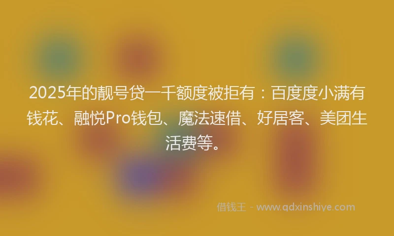 2025年的靓号贷一千额度被拒有：百度度小满有钱花、融悦Pro钱包、魔法速借、好居客、美团生活费等。
