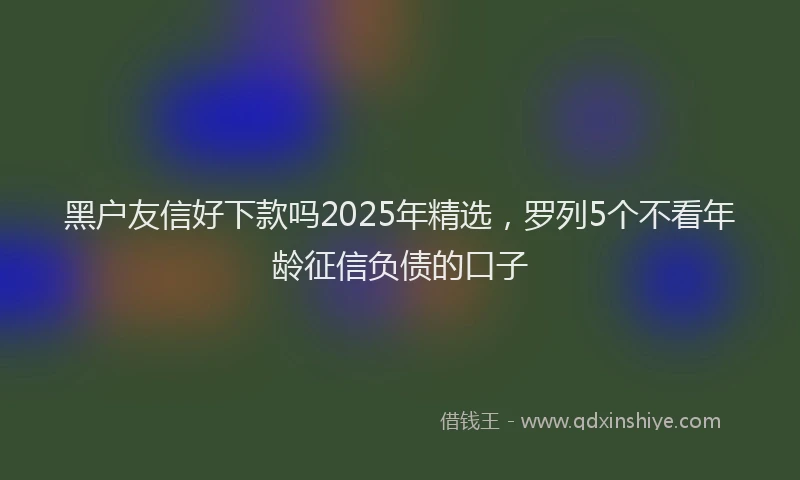 黑户友信好下款吗2025年精选，罗列5个不看年龄征信负债的口子