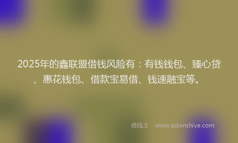 2025年的鑫联盟借钱风险有：有钱钱包、臻心贷、惠花钱包、借款宝易借、钱速融宝等。