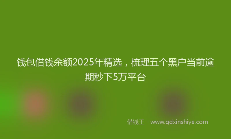 钱包借钱余额2025年精选，梳理五个黑户当前逾期秒下5万平台