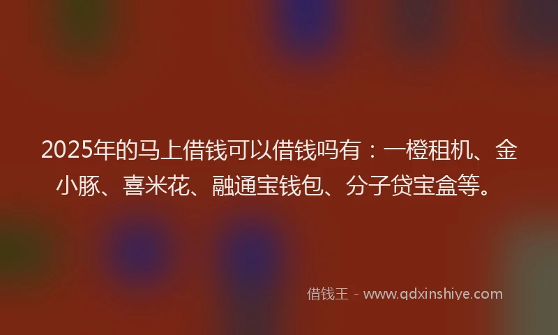 2025年的马上借钱可以借钱吗有：一橙租机、金小豚、喜米花、融通宝钱包、分子贷宝盒等。