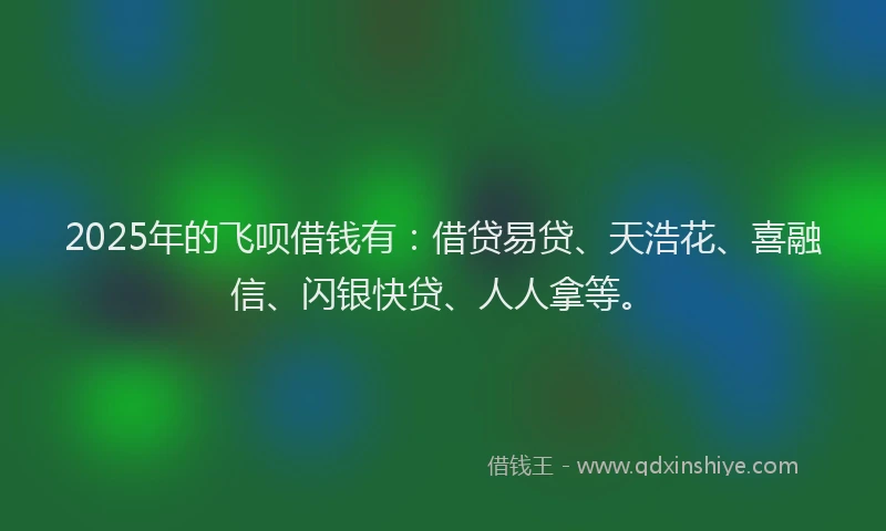 2025年的飞呗借钱有：借贷易贷、天浩花、喜融信、闪银快贷、人人拿等。