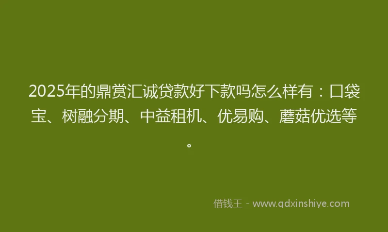 2025年的鼎赏汇诚贷款好下款吗怎么样有：口袋宝、树融分期、中益租机、优易购、蘑菇优选等。