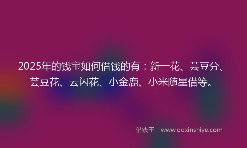 2025年的钱宝如何借钱的有：新一花、芸豆分、芸豆花、云闪花、小金鹿、小米随星借等。