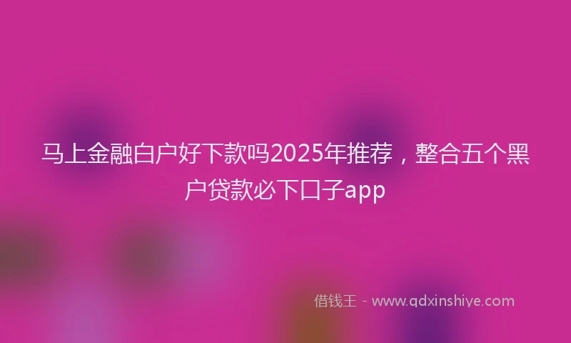 马上金融白户好下款吗2025年推荐，整合五个黑户贷款必下口子app