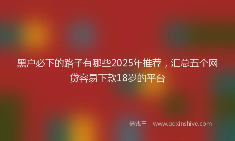 黑户必下的路子有哪些2025年推荐，汇总五个网贷容易下款18岁的平台