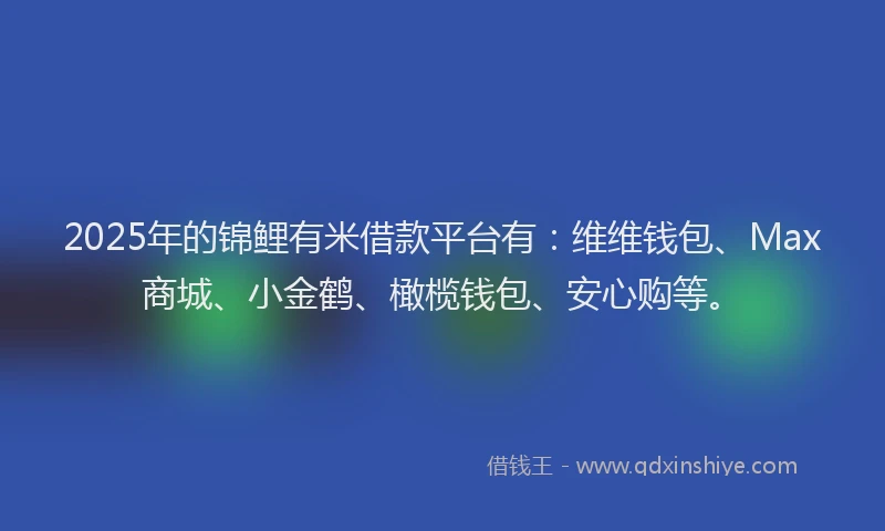 2025年的锦鲤有米借款平台有：维维钱包、Max商城、小金鹤、橄榄钱包、安心购等。