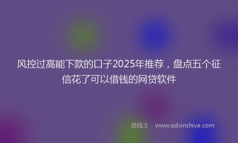 风控过高能下款的口子2025年推荐，盘点五个征信花了可以借钱的网贷软件