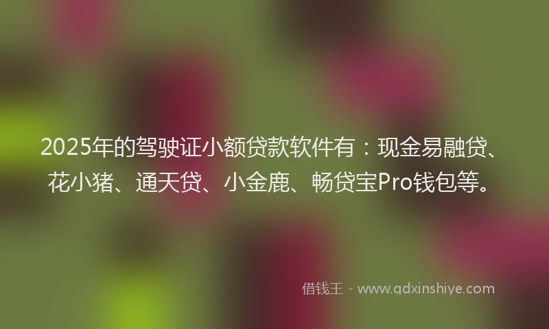 2025年的驾驶证小额贷款软件有：现金易融贷、花小猪、通天贷、小金鹿、畅贷宝Pro钱包等。