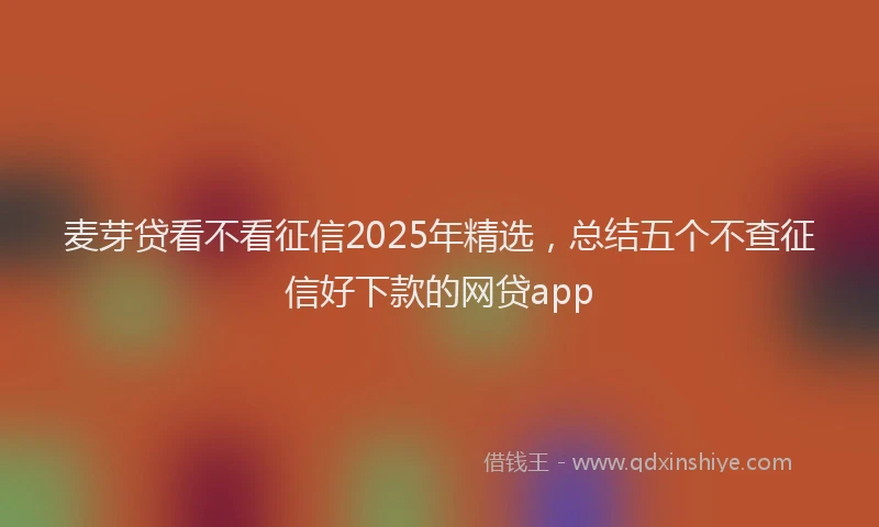 麦芽贷看不看征信2025年精选，总结五个不查征信好下款的网贷app