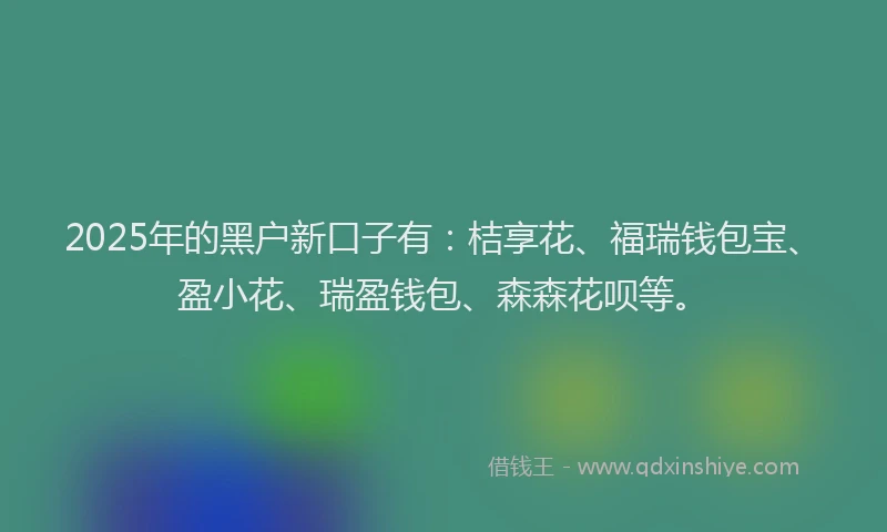 2025年的黑户新口子有：桔享花、福瑞钱包宝、盈小花、瑞盈钱包、森森花呗等。