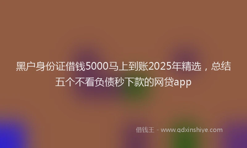 黑户身份证借钱5000马上到账2025年精选，总结五个不看负债秒下款的网贷app