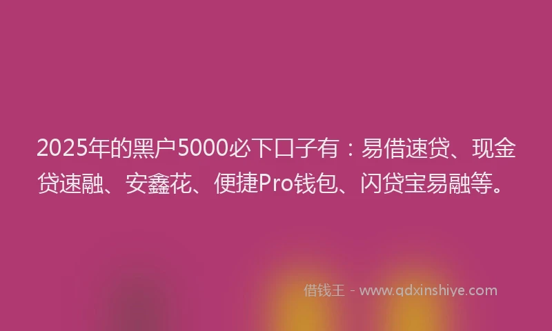2025年的黑户5000必下口子有：易借速贷、现金贷速融、安鑫花、便捷Pro钱包、闪贷宝易融等。