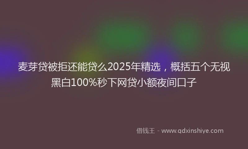 麦芽贷被拒还能贷么2025年精选，概括五个无视黑白100%秒下网贷小额夜间口子